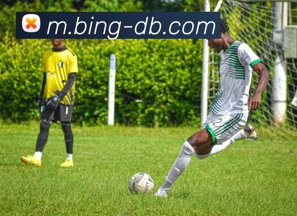 DB旗舰发展历程